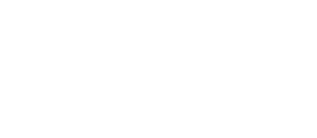 drakes auctions logo