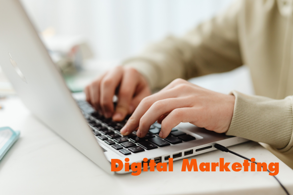 Digital Marketing solutions in Devon from Viddy well Creative